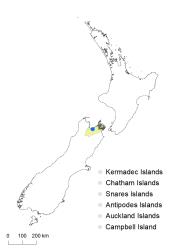 Onoclea sensibilis distribution map based on databased records at AK, CHR & WELT.
 Image: K.Boardman © Landcare Research 2020 CC BY 4.0